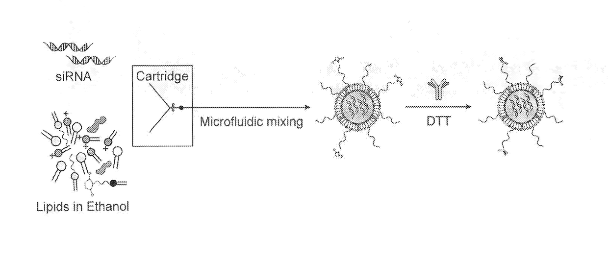 Targeted lipid particles for systemic delivery of nucleic acid molecules to leukocytes