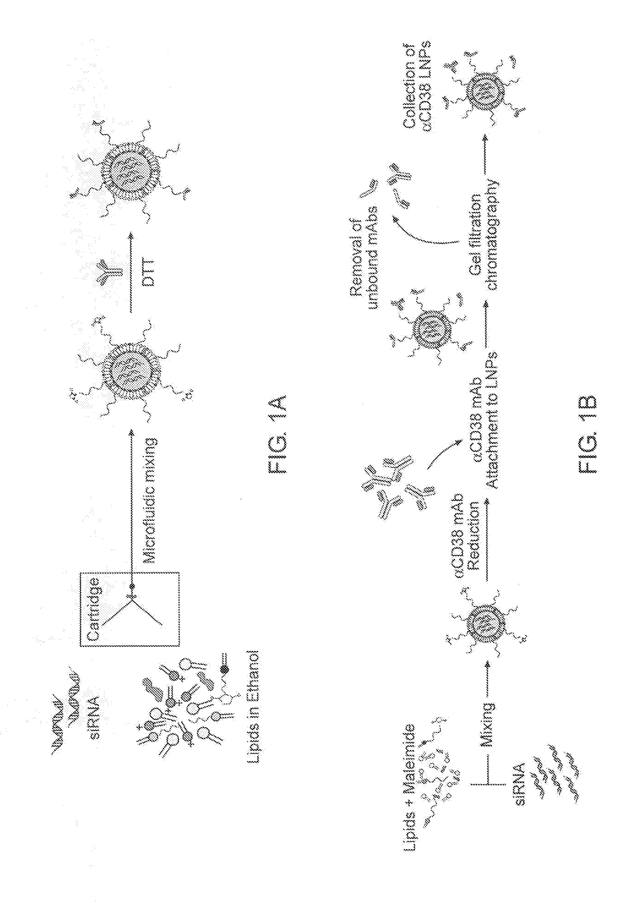 Targeted lipid particles for systemic delivery of nucleic acid molecules to leukocytes