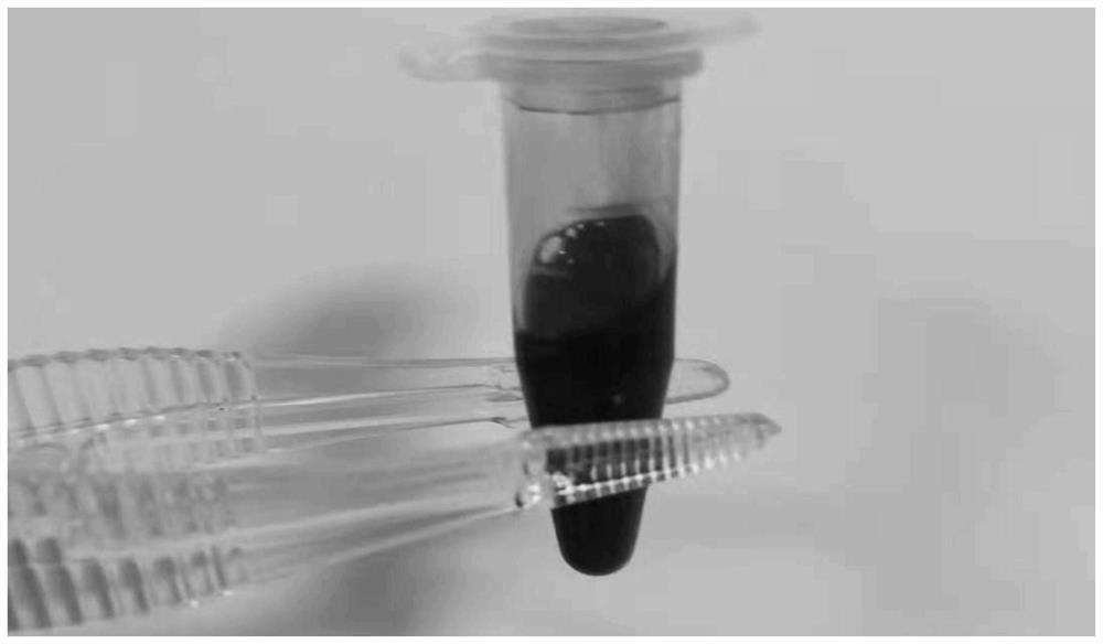 Method for stabilizing carbidopa/levodopa in biological matrix