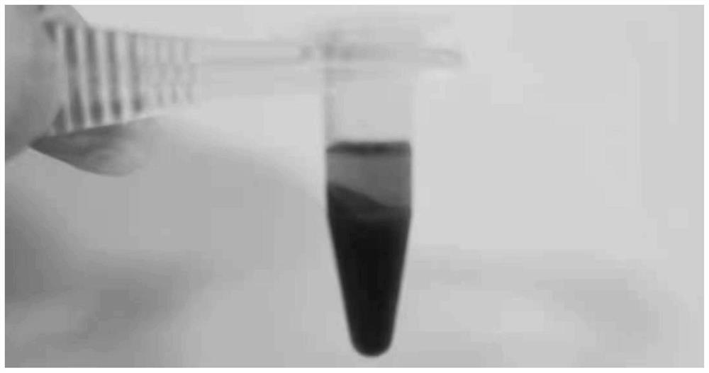 Method for stabilizing carbidopa/levodopa in biological matrix