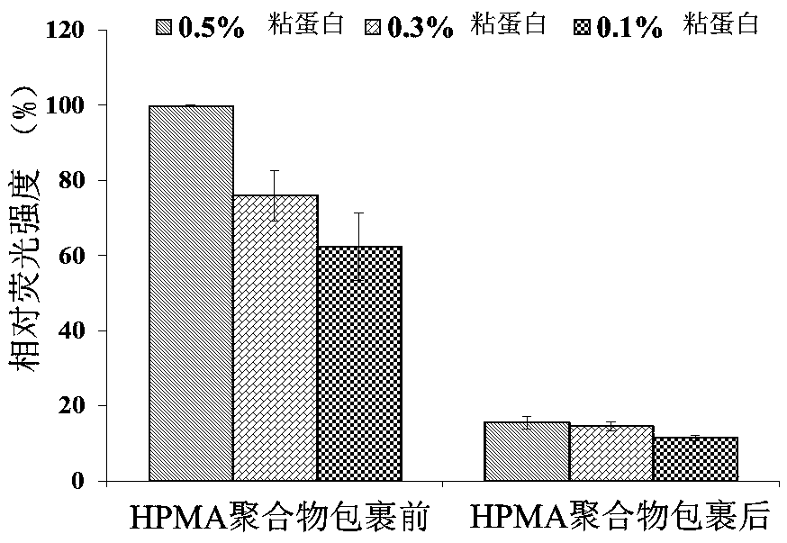 A kind of nanoparticle based on n-(2-hydroxypropyl) methacrylamide polymer and preparation method thereof