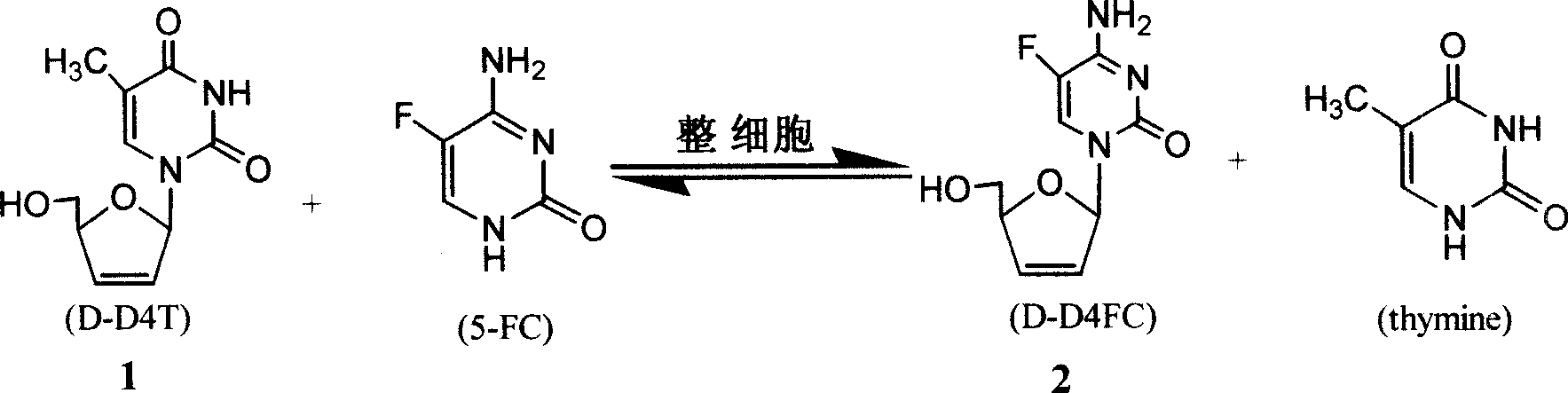 5-fluorocytidine complete cell enzymatic synthesis method