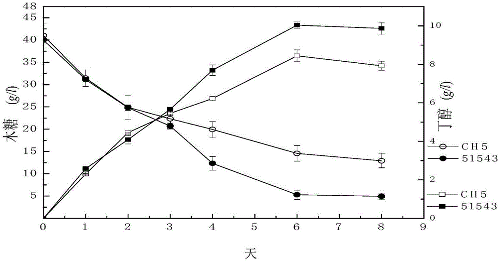 Clostridium beijerinckii for producing butanol with xylose and application