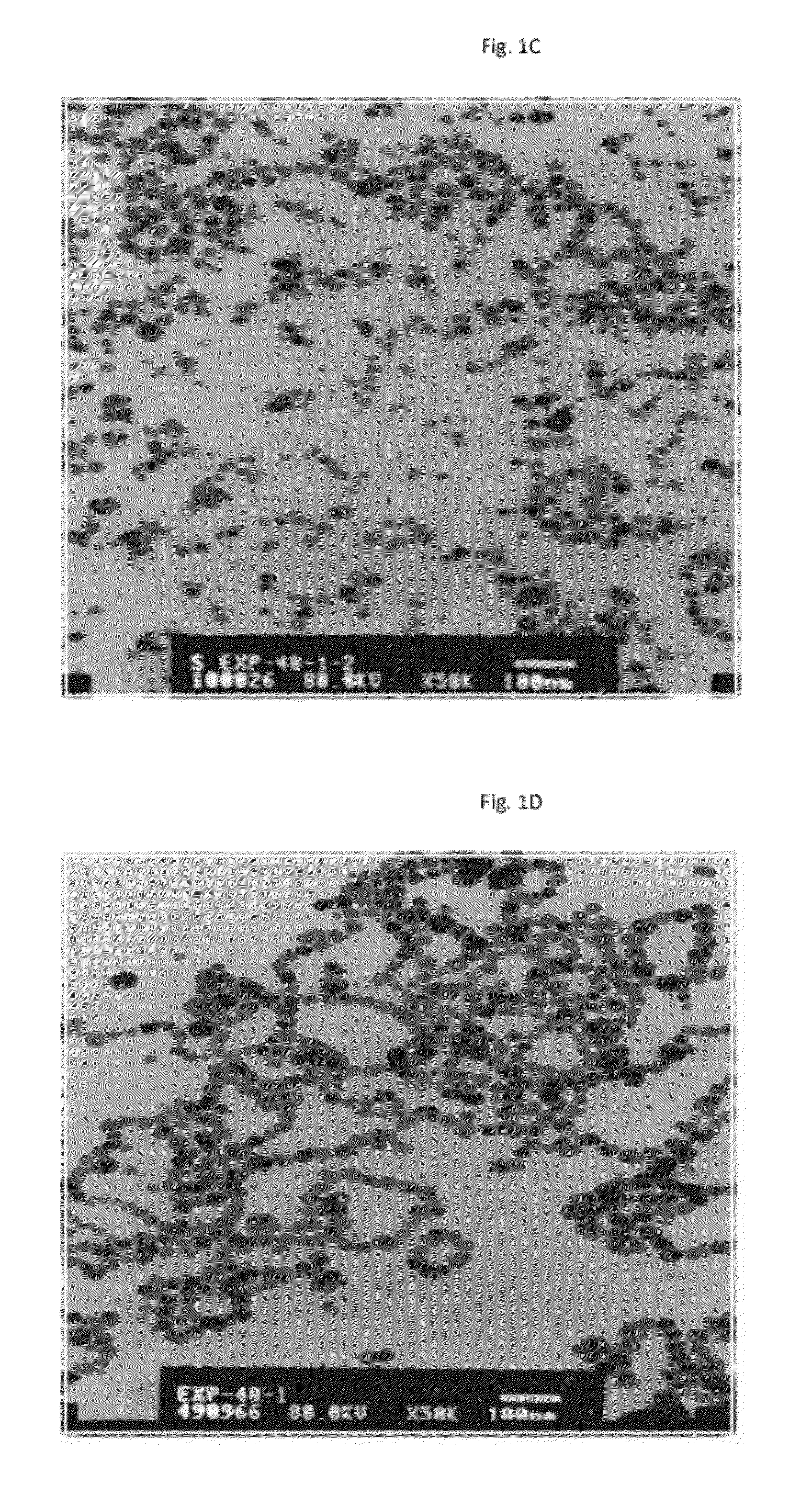 Polymer nanoparticles coated by magnetic metal oxide and uses thereof