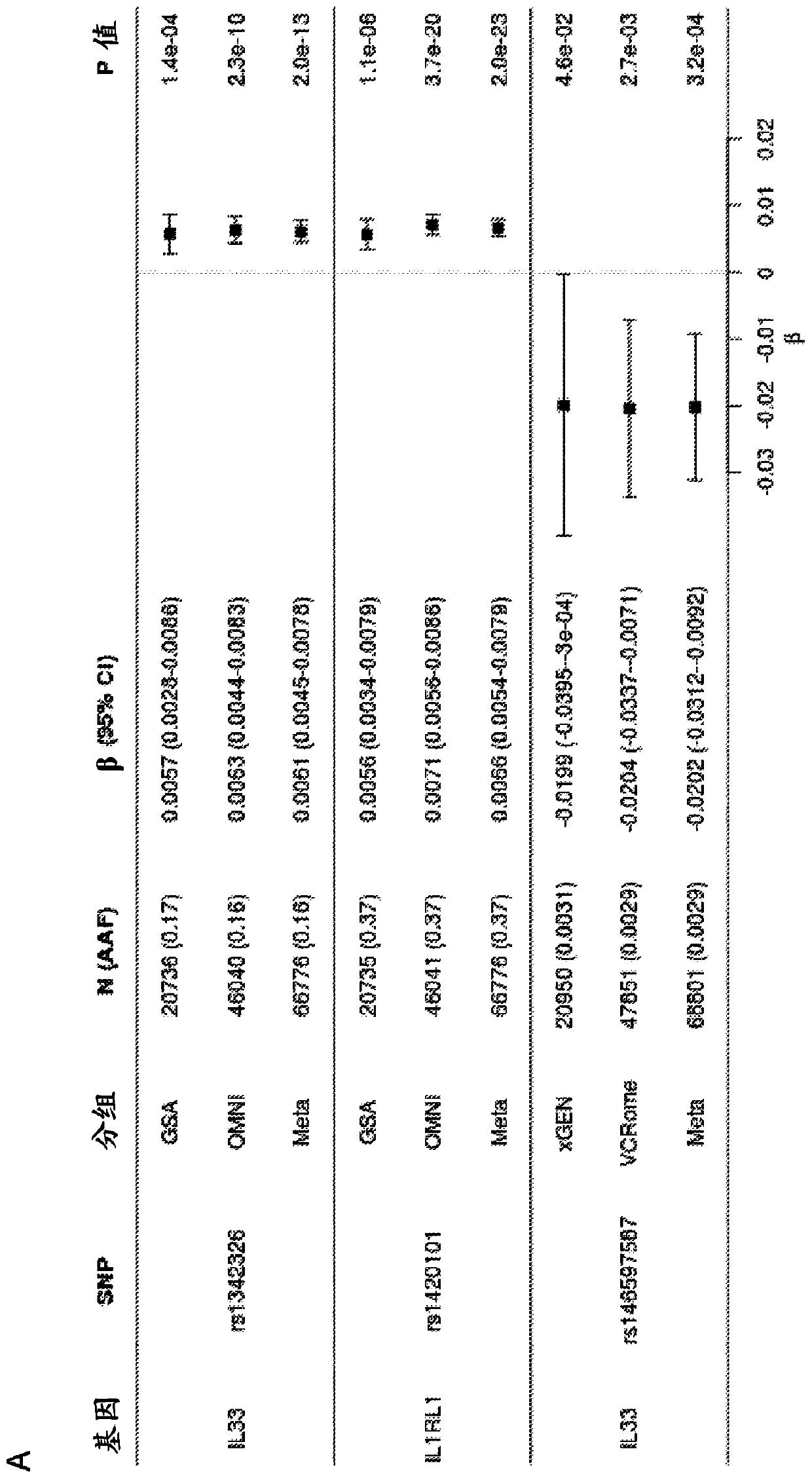 Treatment and inhibition of inflammatory lung diseases in patients having risk alleles in genes encoding il33 and il1rl1