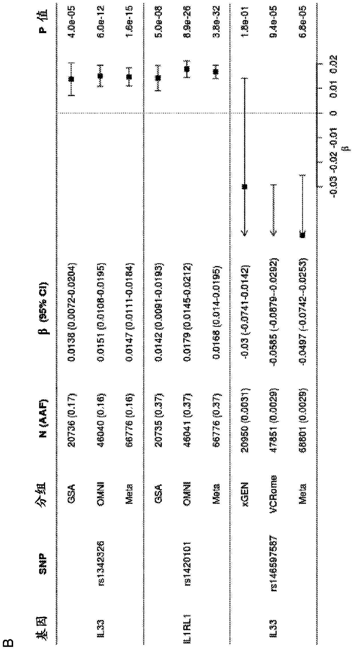 Treatment and inhibition of inflammatory lung diseases in patients having risk alleles in genes encoding il33 and il1rl1