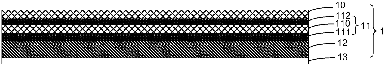 Polarized light plate and display device