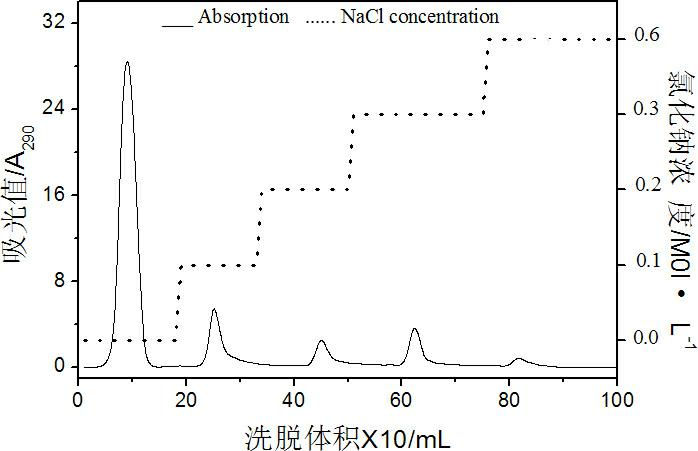 Active dendrobe polysaccharide capable of protecting liver and resisting liver fibrosis and preparation method of antibody affinity chromatography