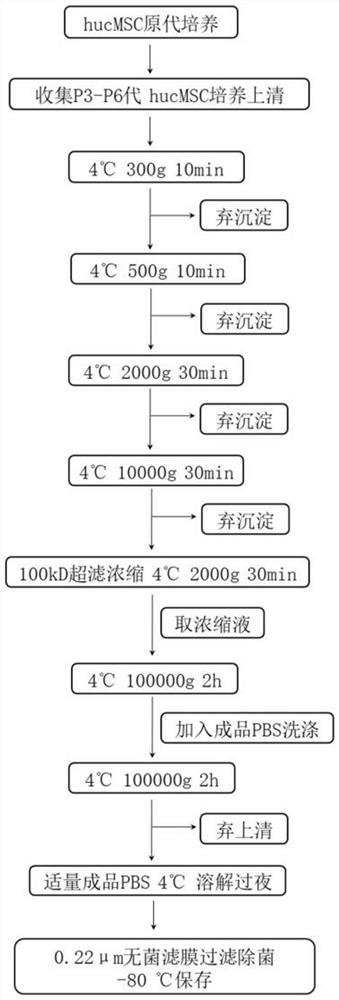 Application of HucMSC-sEV loaded with miR13896 to acute liver injury caused by sepsis