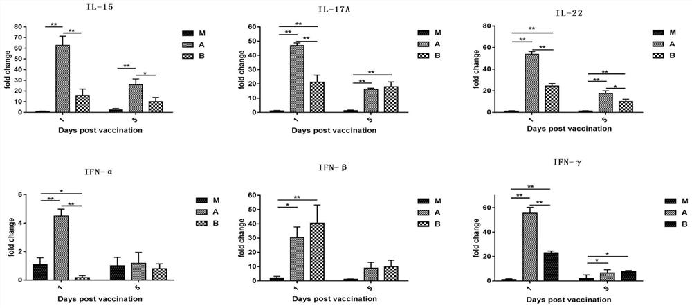 Bacteriostatic and anti-inflammatory Chinese herbal medicine extract feed additive and application thereof