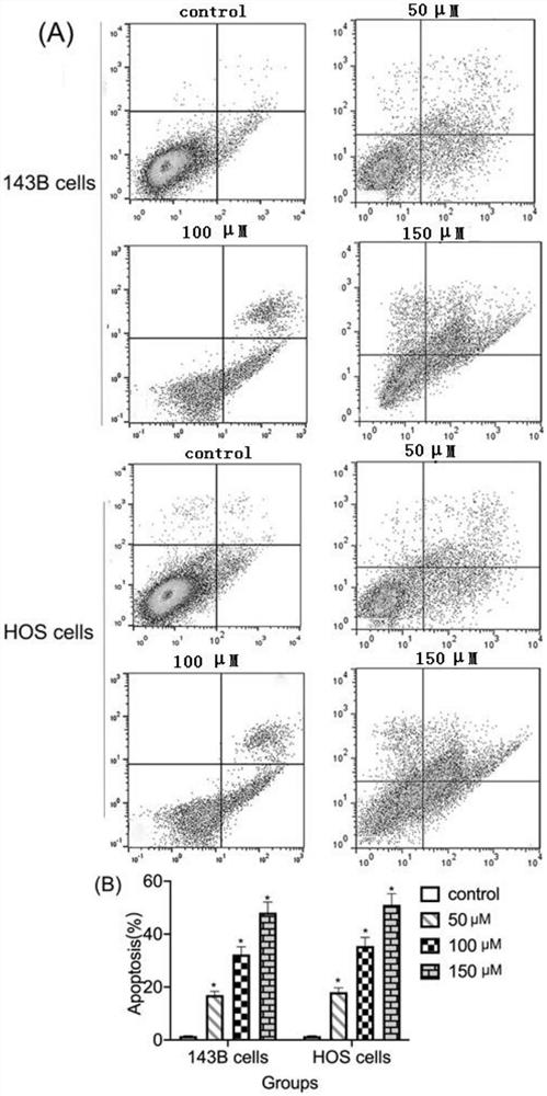 Application of pectolinarin in preparation of anti-osteosarcoma medicine and anti-osteosarcoma medicine preparation