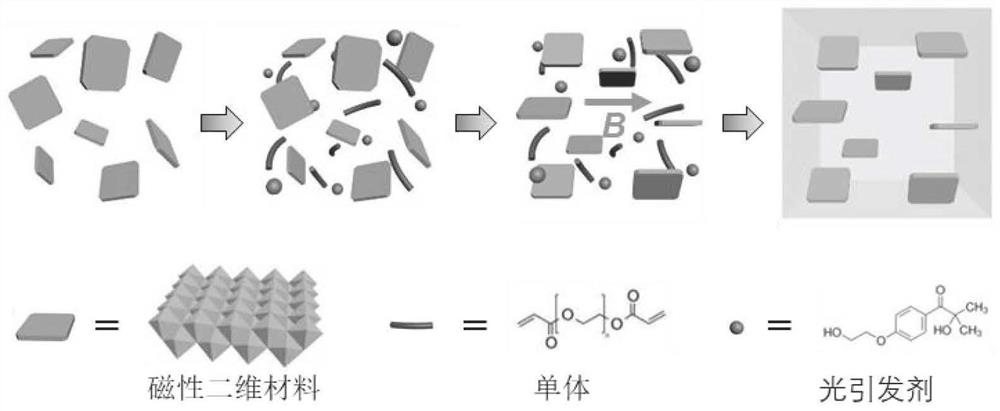 Optical anisotropic hydrogel, preparation method and production system ...