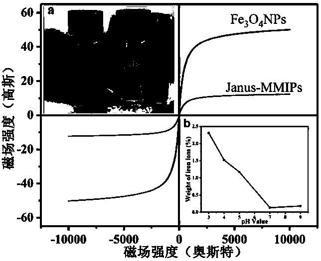 Janus magnetic imprinted nanosheet, preparation method and application thereof