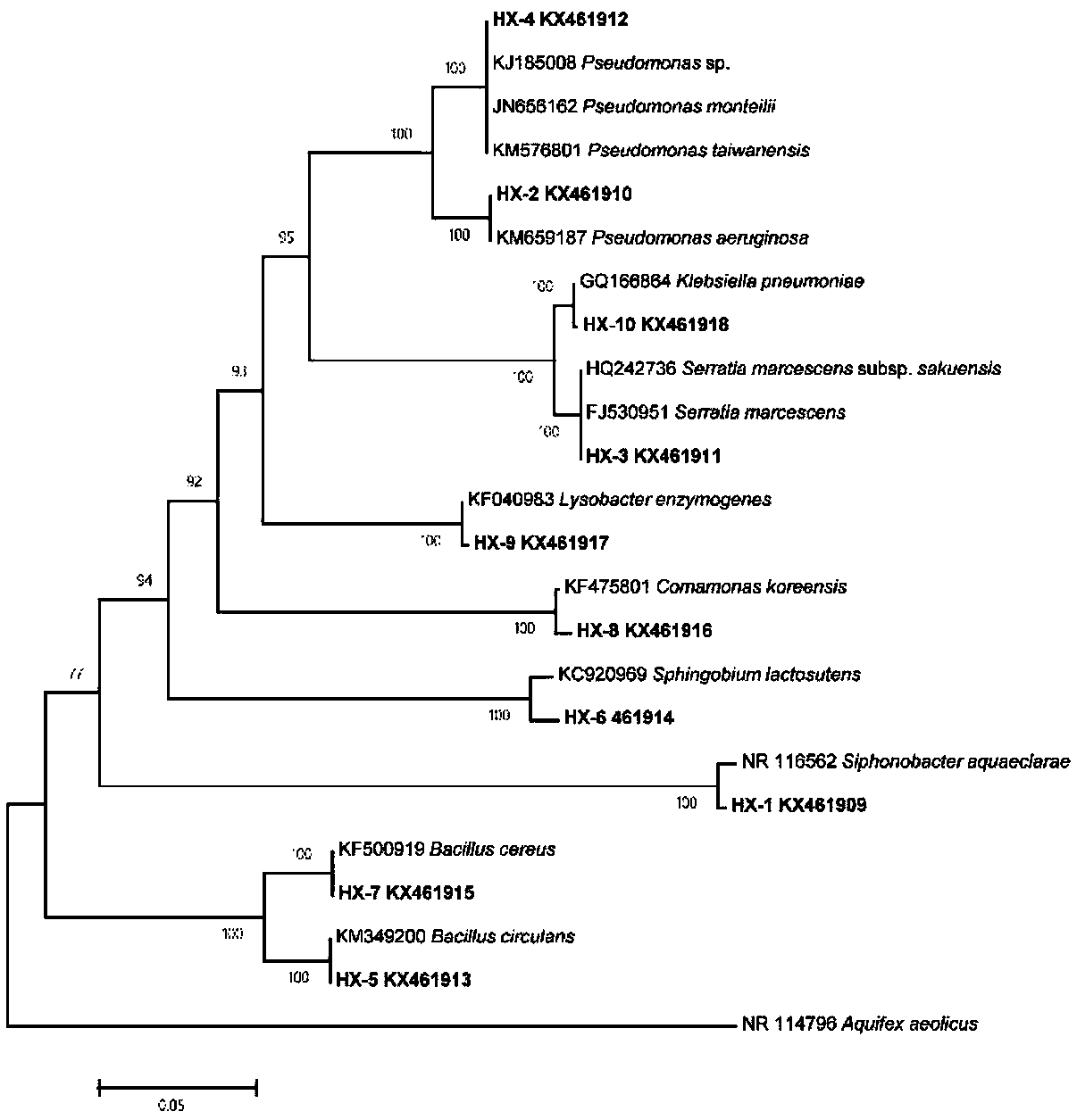 Separation and identification method for cellulose degradation bacteria in intestinal tracts of monochamus alternatus larvae