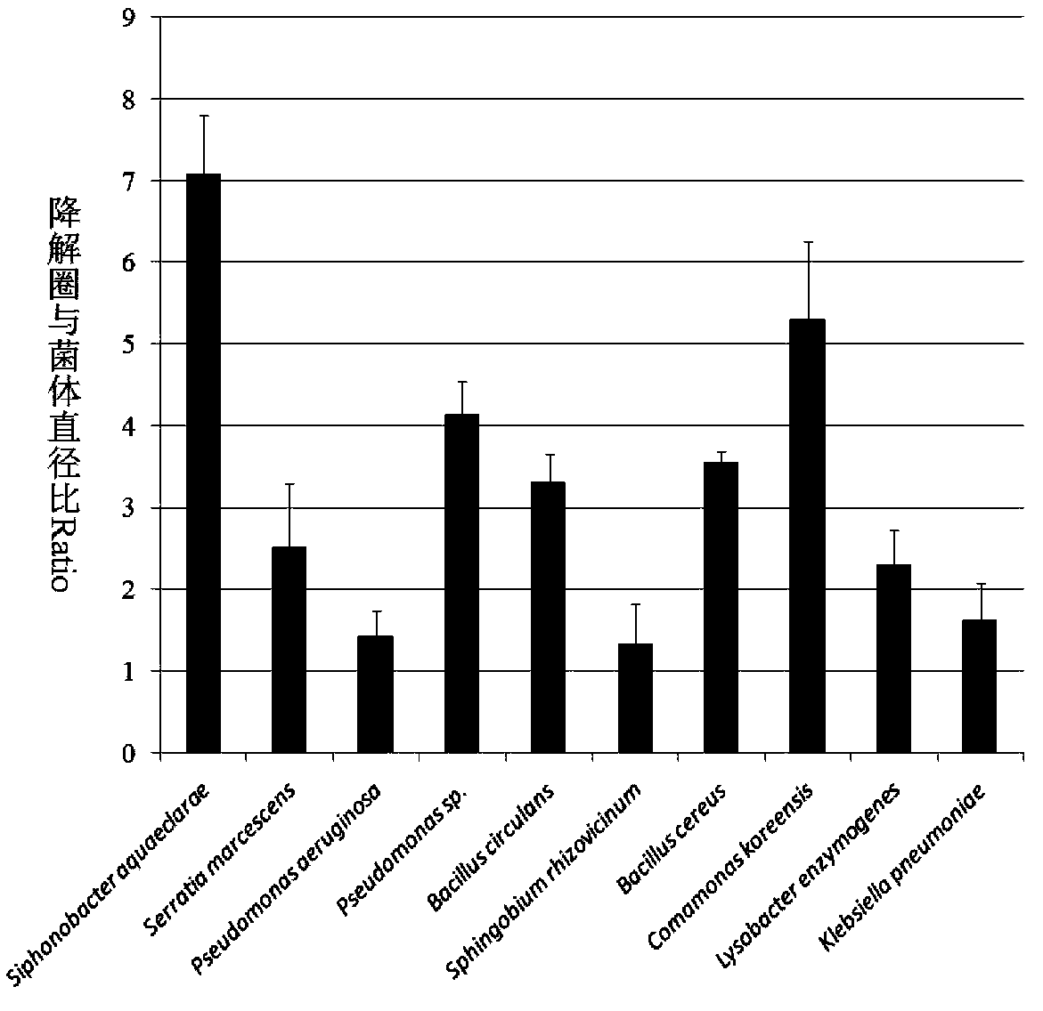 Separation and identification method for cellulose degradation bacteria in intestinal tracts of monochamus alternatus larvae