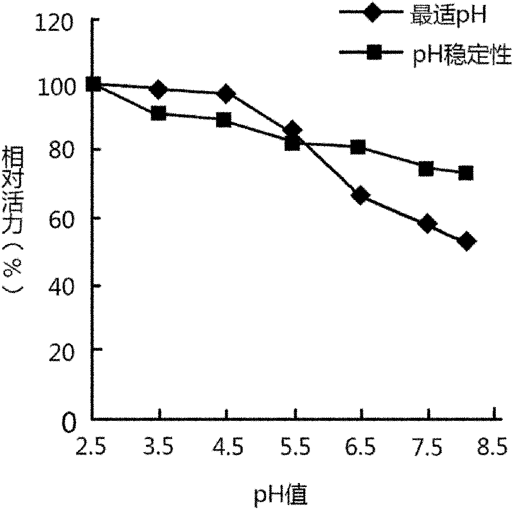 Bacterial strain for producing beta-mannanase and production process of bacterial strain