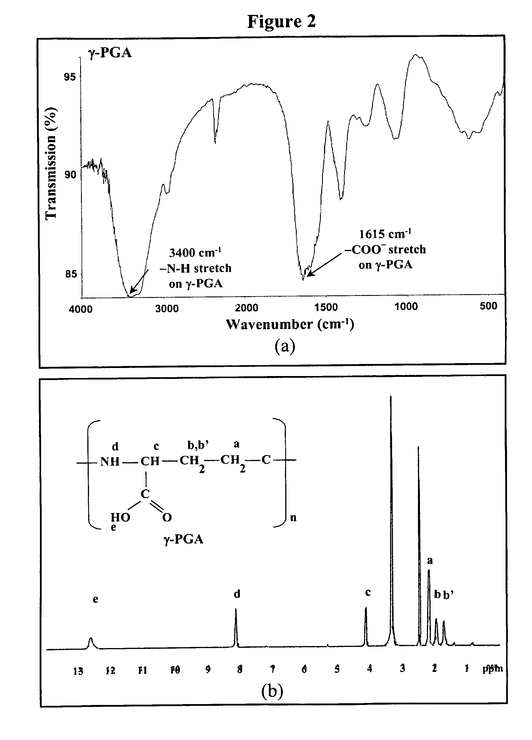 Nanoparticles for protein drug delivery