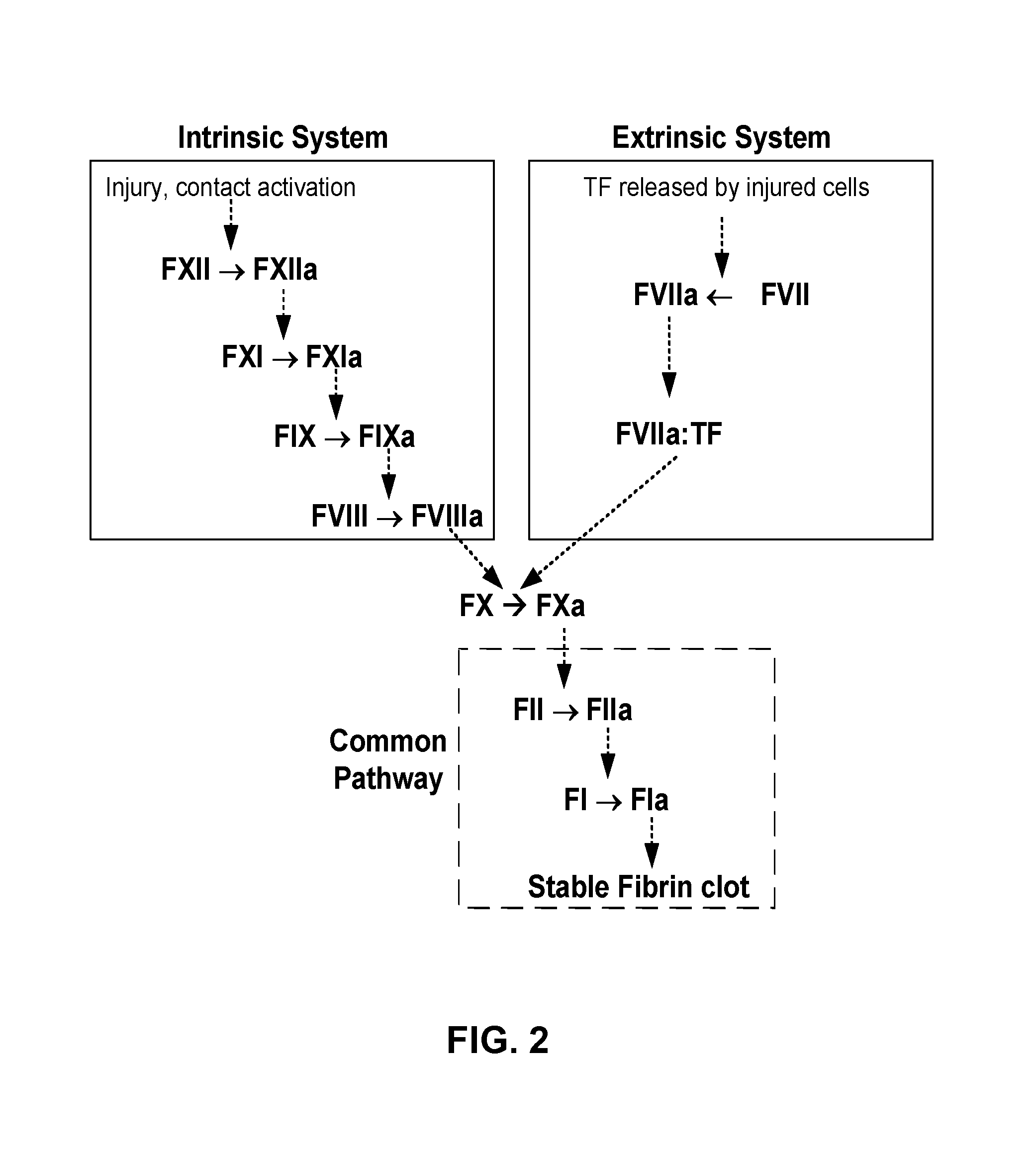 Factor viii compositions and methods of making and using same