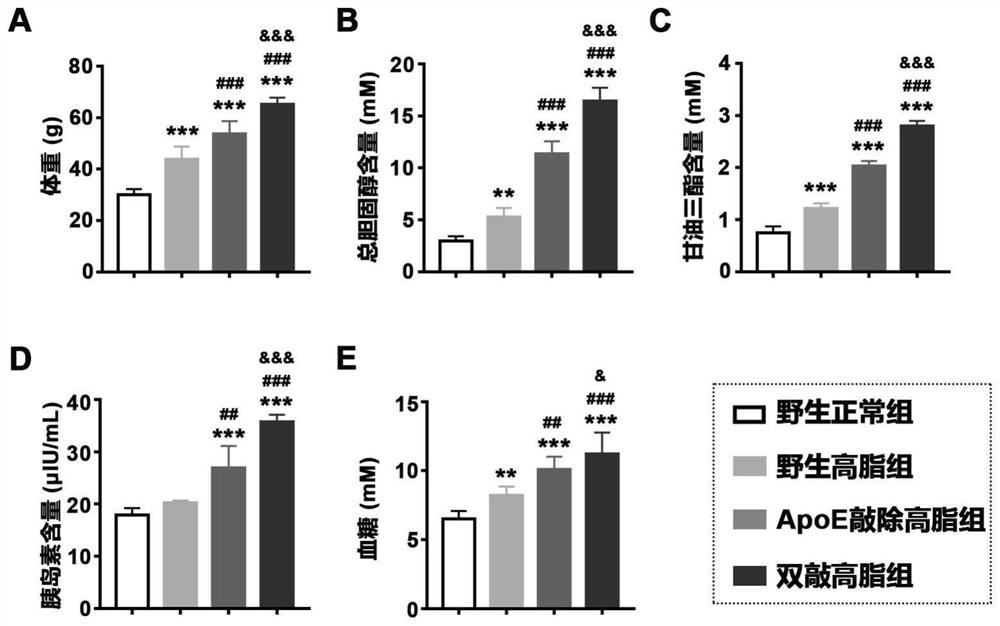 Construction method and application of non-alcoholic steatohepatitis mouse model based on PEDF/ApoE double-gene knockout