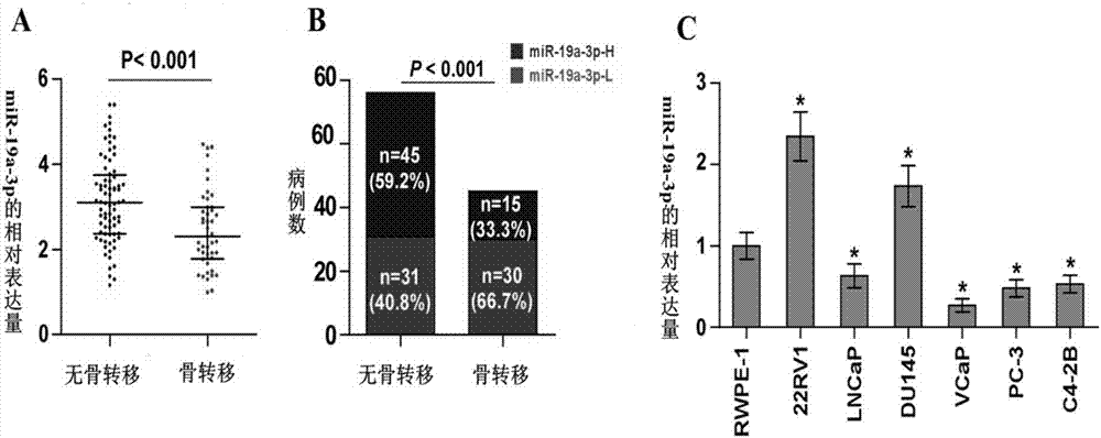 Application of miR-19a-3p in preparing diagnostic reagent and therapeutic drug for prostate cancer with osseous metastasis