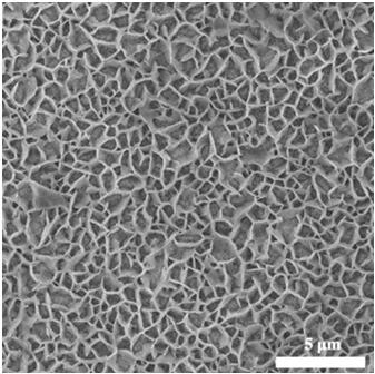 A kind of porphyrin mofs film and preparation method thereof, application in electrocatalytic oxidation