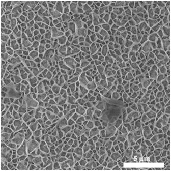 A kind of porphyrin mofs film and preparation method thereof, application in electrocatalytic oxidation