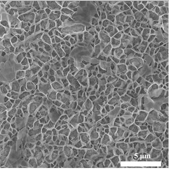 A kind of porphyrin mofs film and preparation method thereof, application in electrocatalytic oxidation