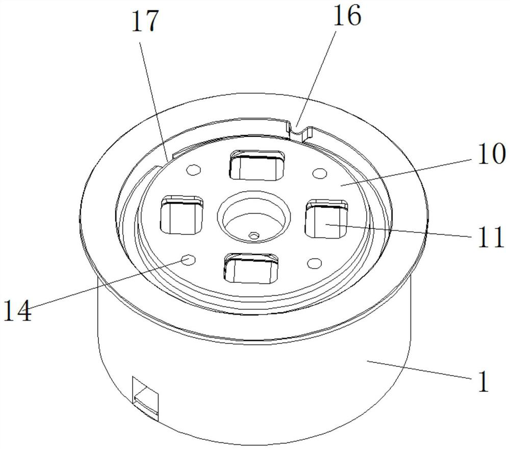 A seasoning automatic feeding device