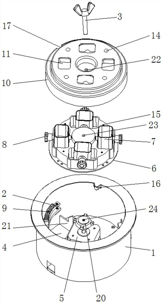 A seasoning automatic feeding device