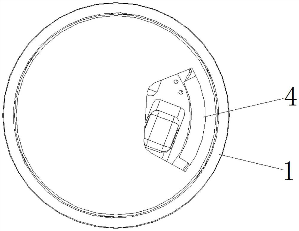 A seasoning automatic feeding device