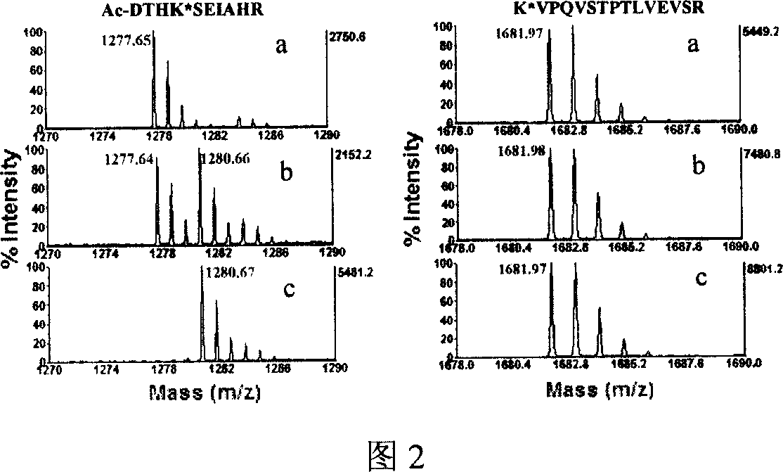 Method and reagent kit for protein N-terminal peptide specific identification and sequencing