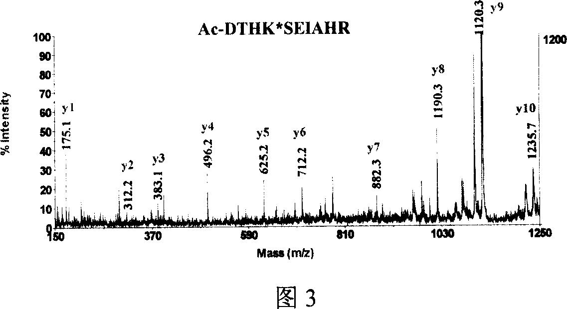 Method and reagent kit for protein N-terminal peptide specific identification and sequencing