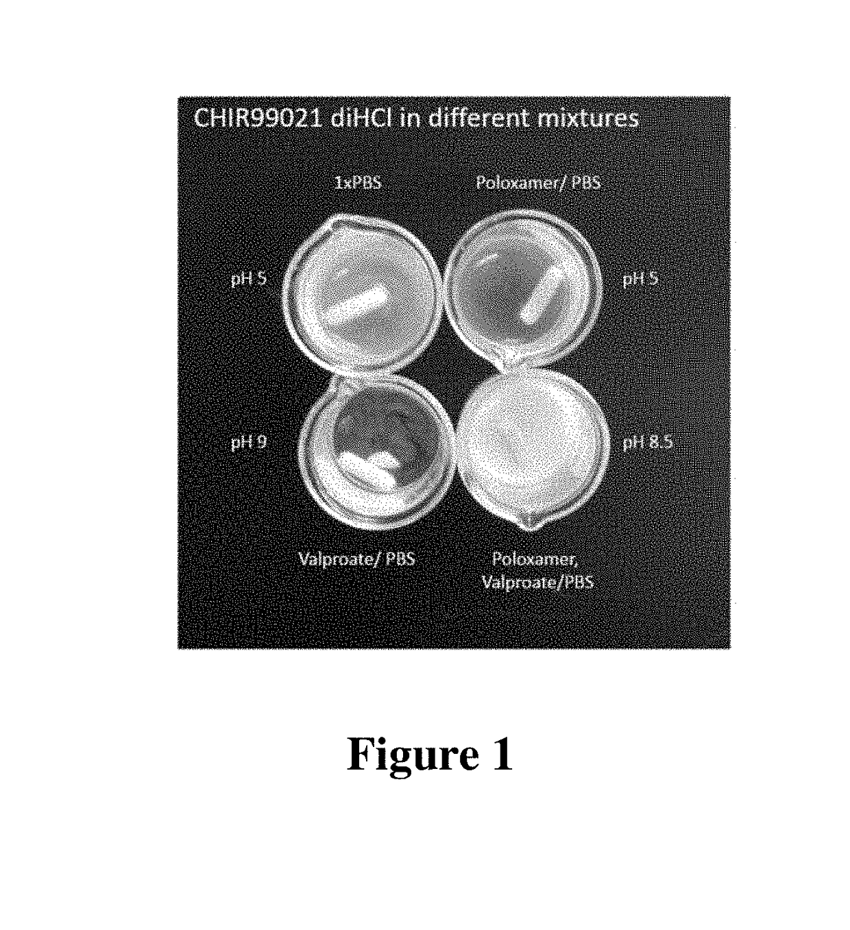 Solubilized compositions for controlled proliferation of stem cells / generating inner ear hair cells using gsk3 inhibitors: i