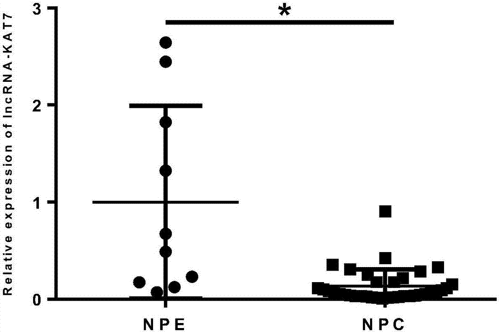 NPC (nasopharyngeal carcinoma) related tumor marker and application