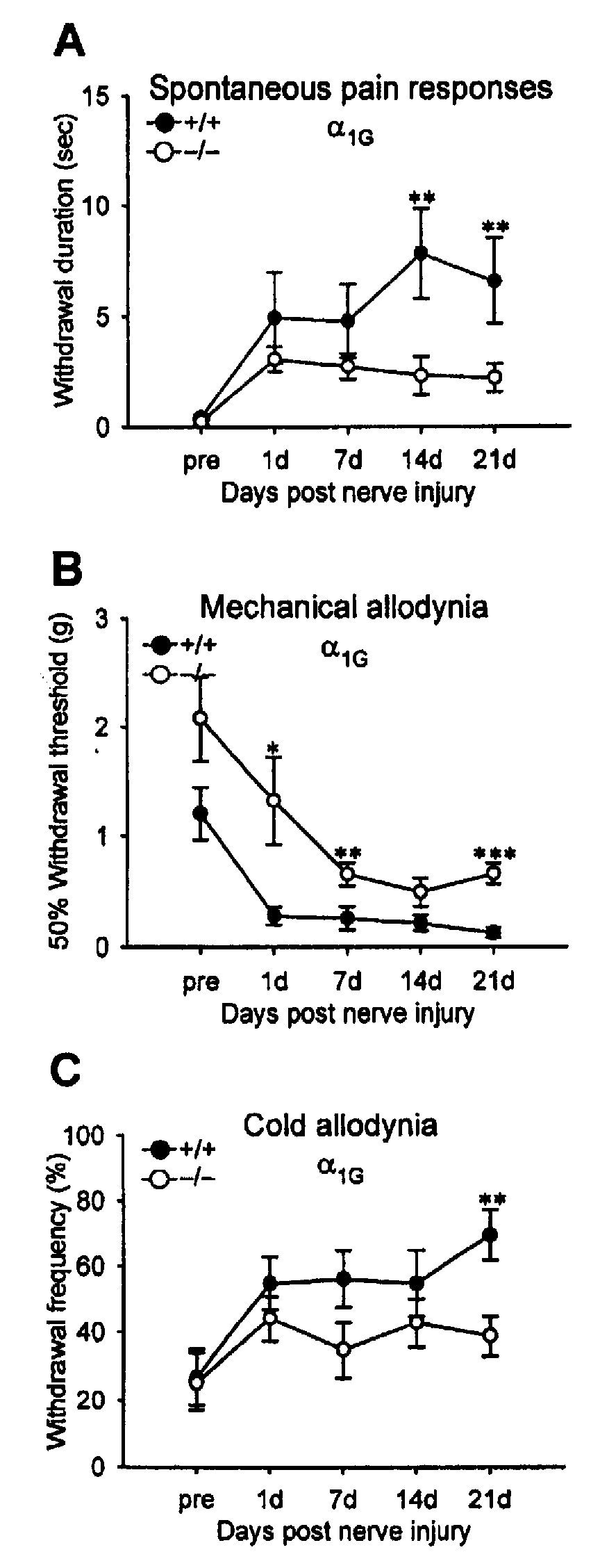 Methods for Relieving Neuropathic Pain by Modulating Alpha1G T-Type Calcium Channels and Mice Lacking Alpha 1G T-Type Calcium Channels