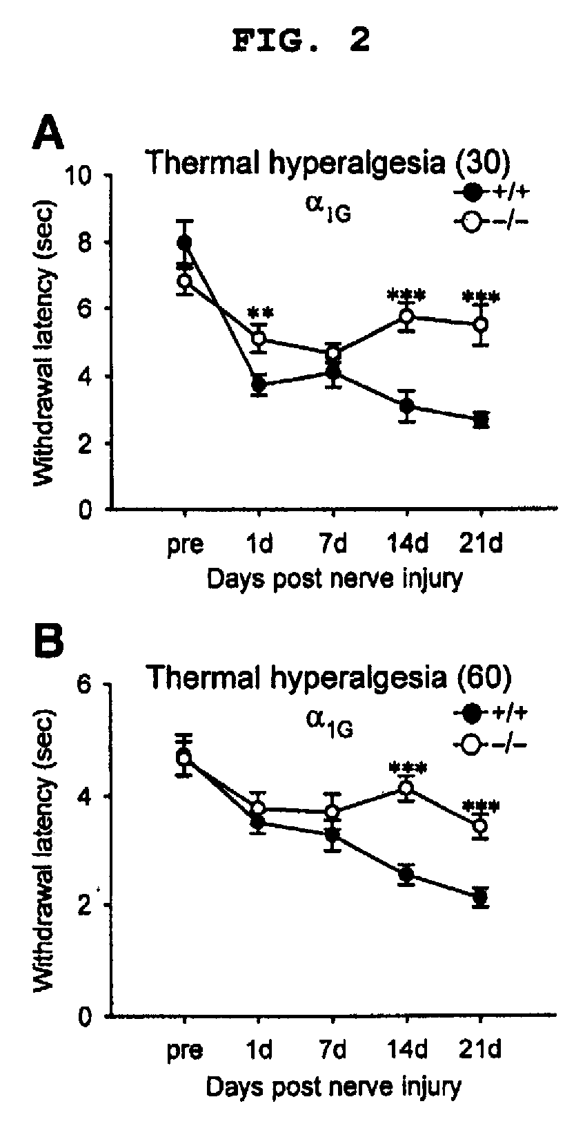 Methods for Relieving Neuropathic Pain by Modulating Alpha1G T-Type Calcium Channels and Mice Lacking Alpha 1G T-Type Calcium Channels