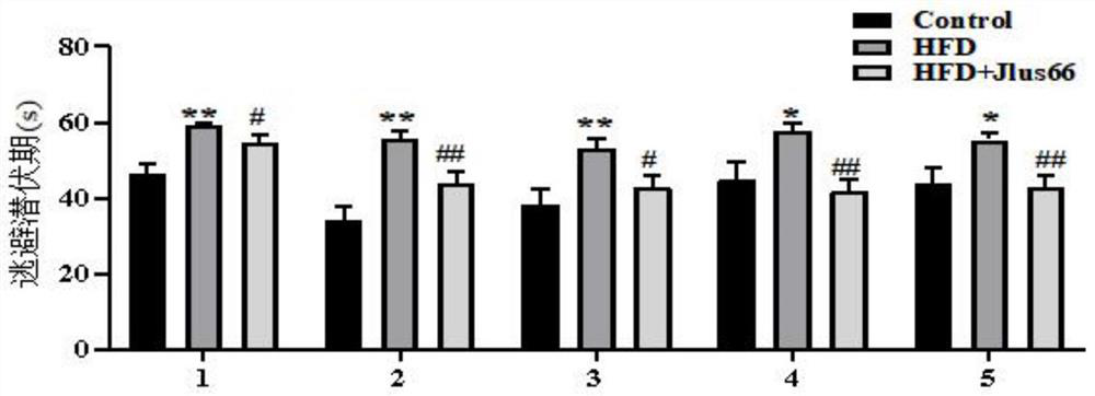 A kind of bacterial agent and application of Lactobacillus paracasei jlus66 with the function of improving memory impairment