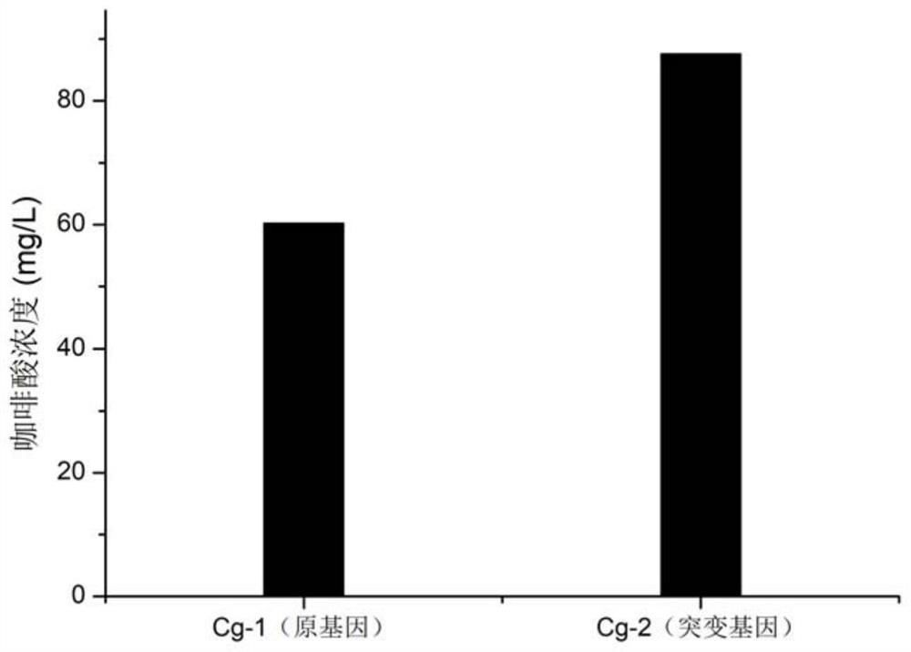 A kind of biological preparation method of caffeic acid