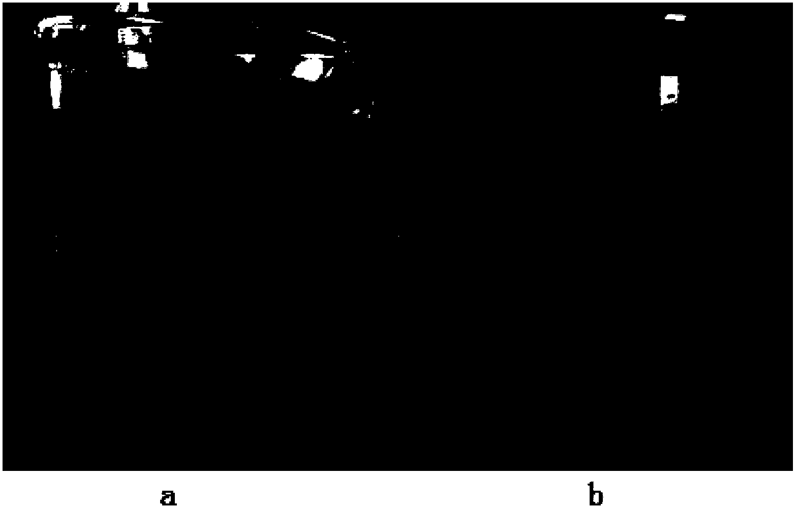 Preparation method of graphite oxide with high degree of oxidation and high dispersibility