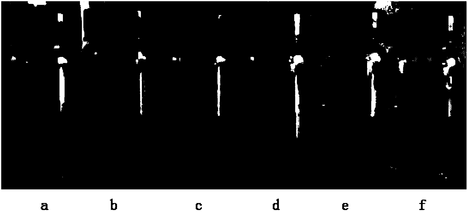 Preparation method of graphite oxide with high degree of oxidation and high dispersibility