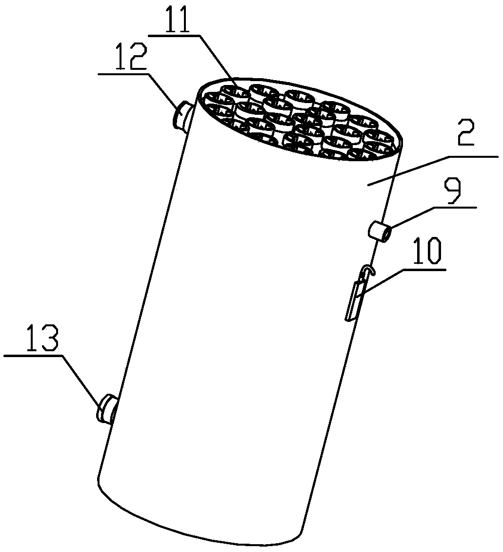 Biomass fuel combustion furnace