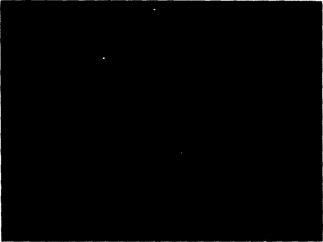 Porous rack with spherical pores and its molding preparation process