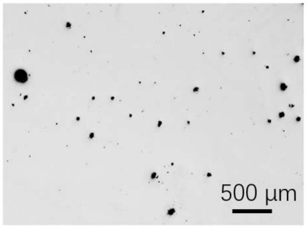 Ceramic metal composite foam material and preparation method thereof