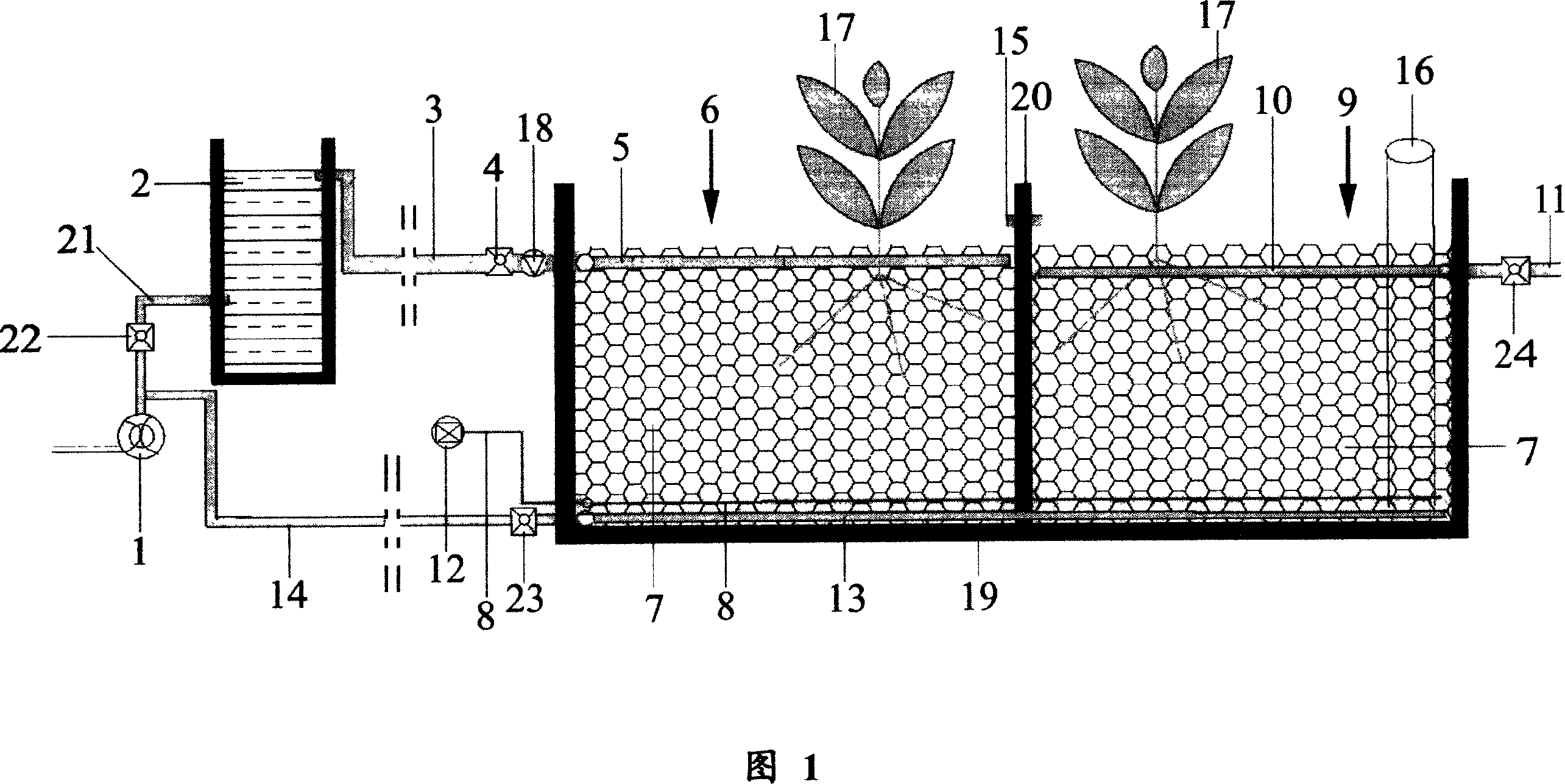 Backwash, aeration type undercurrent wetland water body purification apparatus and water body purification method