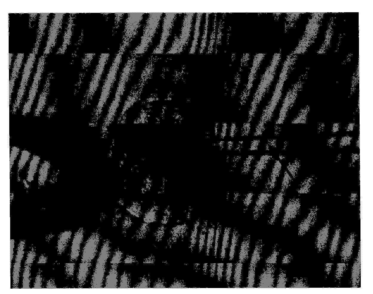 Acquisition method of substance of cell nucleus