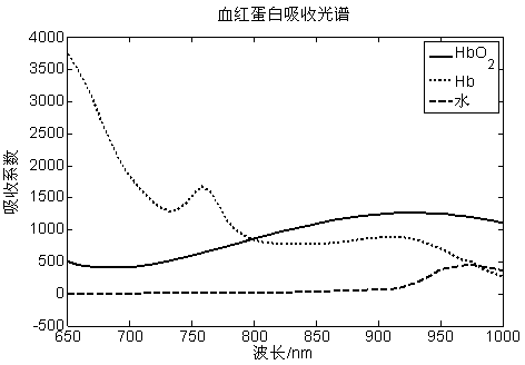 Human tissue blood oxygen saturation degree absolute amount detection device and method