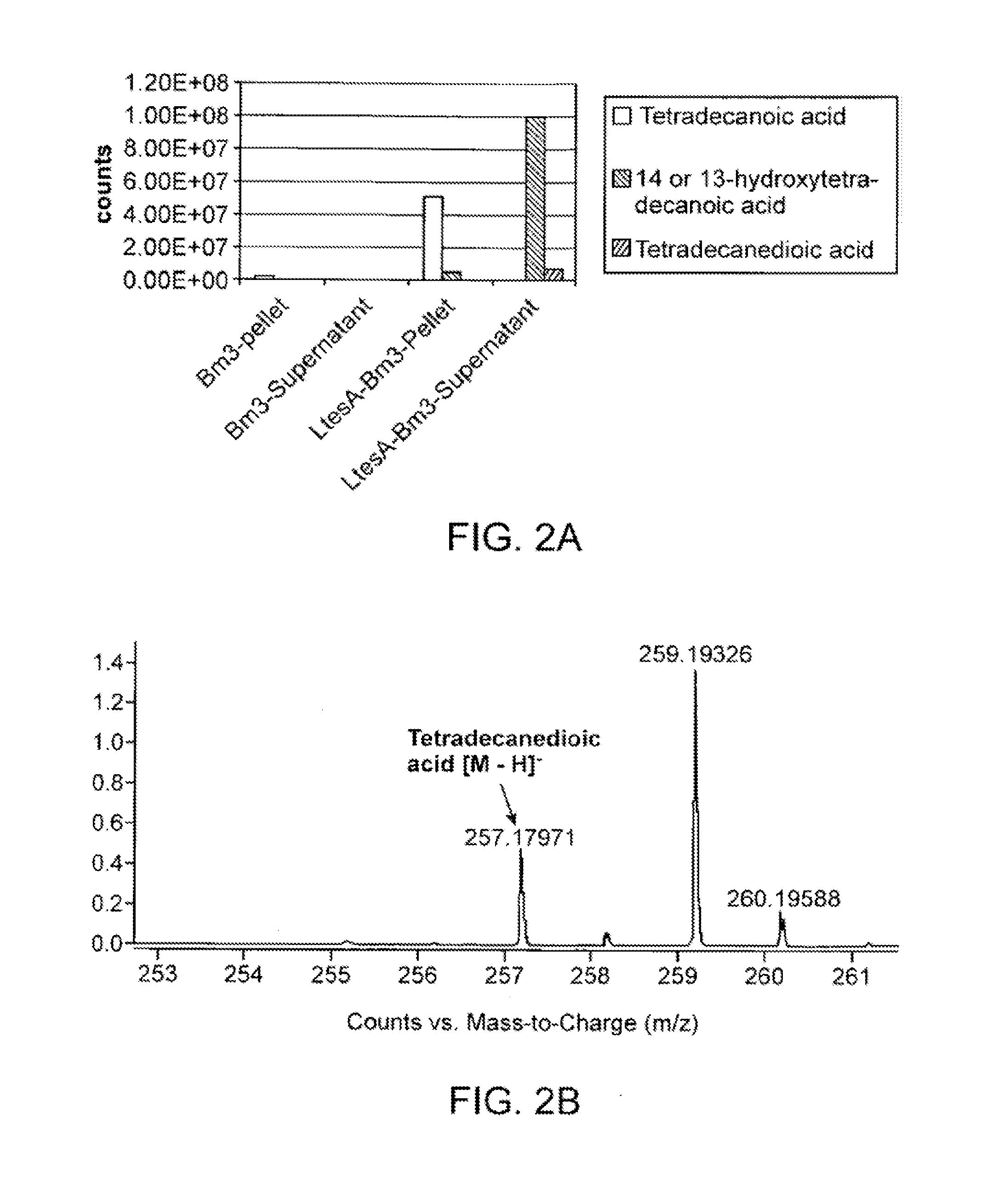 Host Cells and Methods for Producing Diacid Compounds