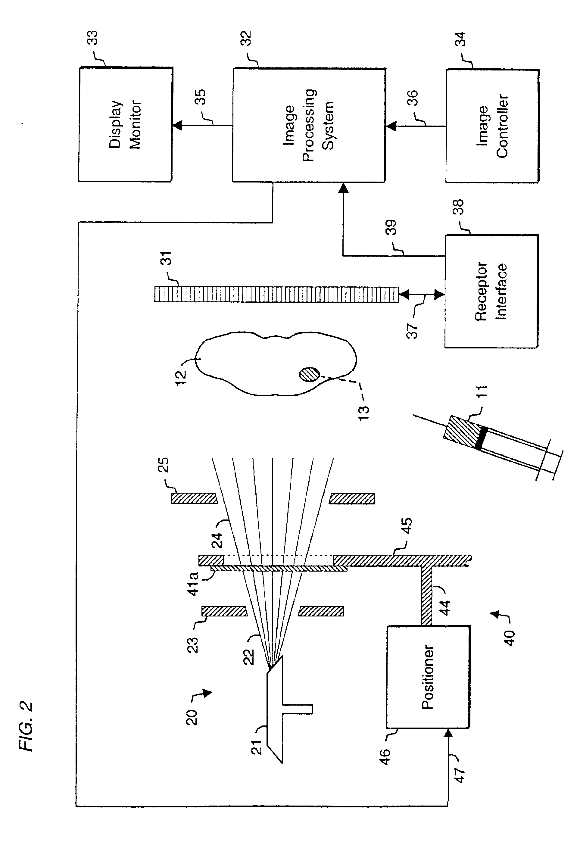 System and method for radiographic imaging of tissue