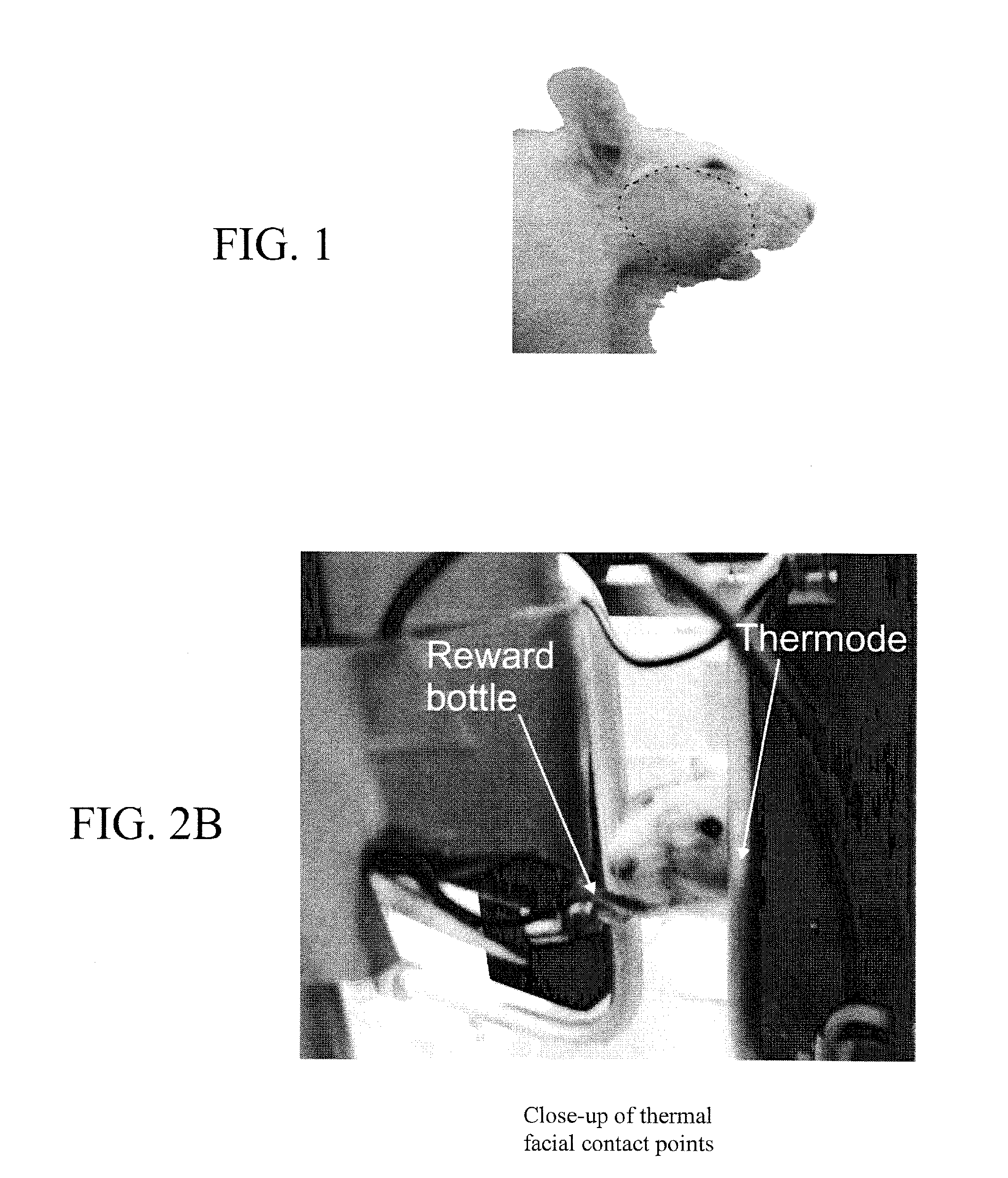 Device and method for assessing operant facial pain
