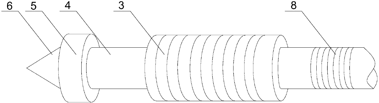 Bearing oil seal drawing structure